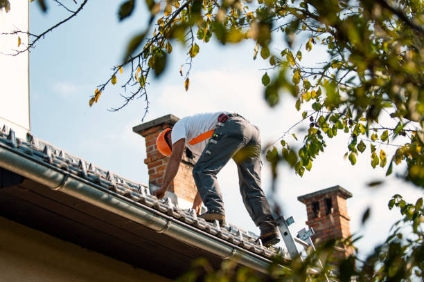 Best Storm Damage Roof Repair  in Dillon, SC