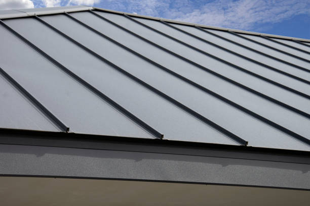 Best Sheet Metal Roofing  in Dillon, SC